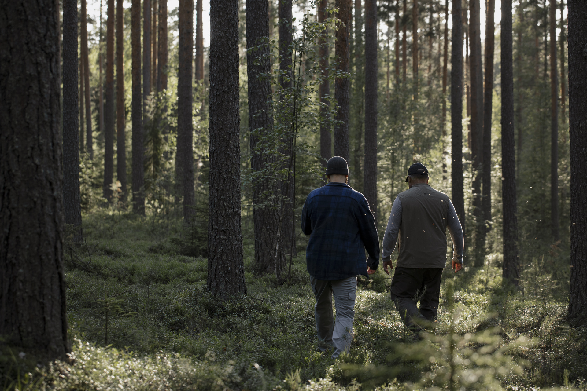 Kopio tiedostosta Katri_Lehtola_KEKSI_Versowood_Metsa_2_yo-1220 (1).jpg